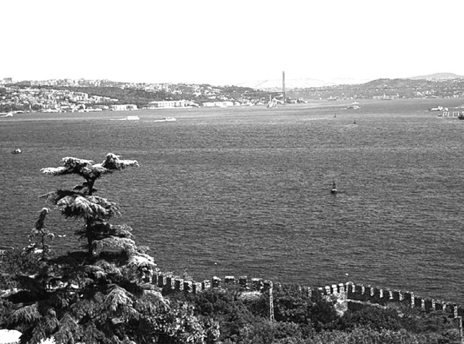 Иллюстрация к книге — Наложницы. Тайная жизнь восточного гарема [i_045.jpg]