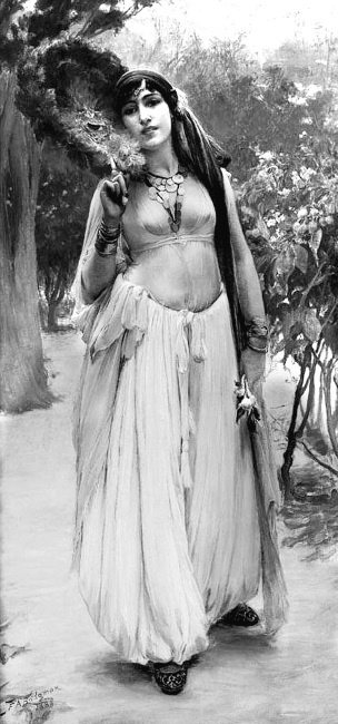 Иллюстрация к книге — Наложницы. Тайная жизнь восточного гарема [i_058.jpg]