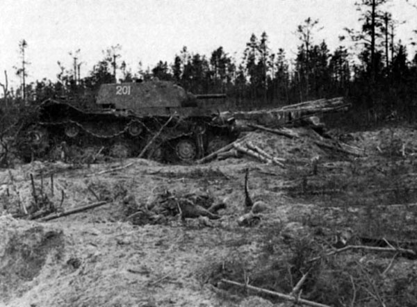 Иллюстрация к книге — Битва за Синявинские высоты. Мгинская дуга 1941-1942 гг. [_1652.jpg]