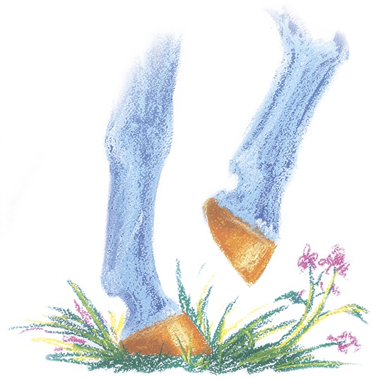 Иллюстрация к книге — Мечта Агаты [i_012.jpg]