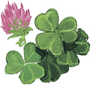 Иллюстрация к книге — Мечта Агаты [i_014.jpg]