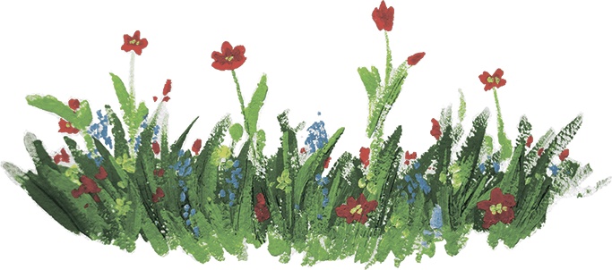 Иллюстрация к книге — Мечта Агаты [i_018.jpg]