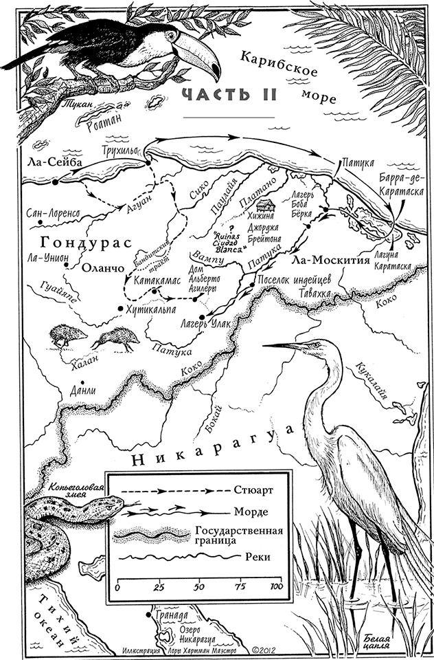 Иллюстрация к книге — Страна джунглей. В поисках мертвого города [i_002.jpg]