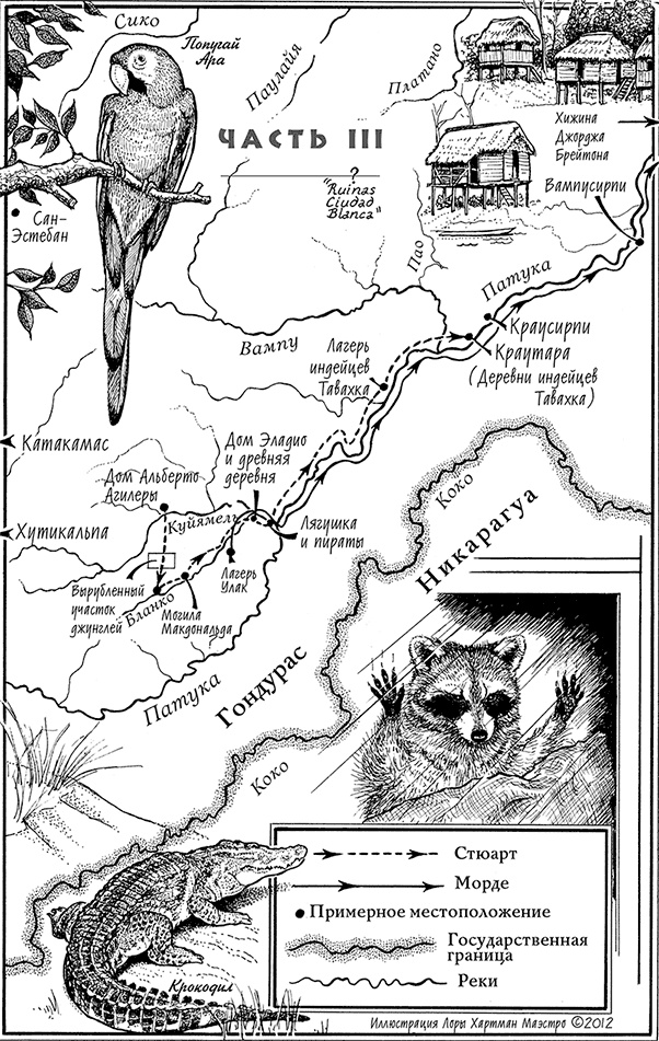 Иллюстрация к книге — Страна джунглей. В поисках мертвого города [i_003.jpg]