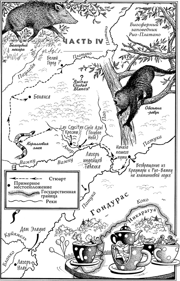 Иллюстрация к книге — Страна джунглей. В поисках мертвого города [i_004.jpg]