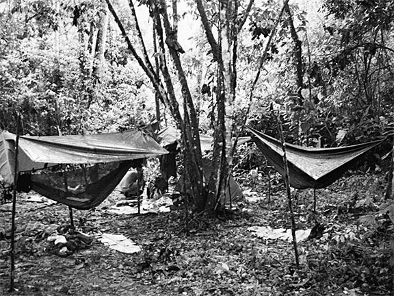 Иллюстрация к книге — Страна джунглей. В поисках мертвого города [i_020.jpg]