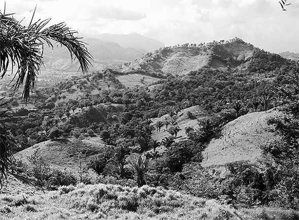 Иллюстрация к книге — Страна джунглей. В поисках мертвого города [i_021.jpg]