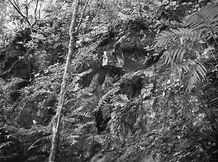 Иллюстрация к книге — Страна джунглей. В поисках мертвого города [i_022.jpg]