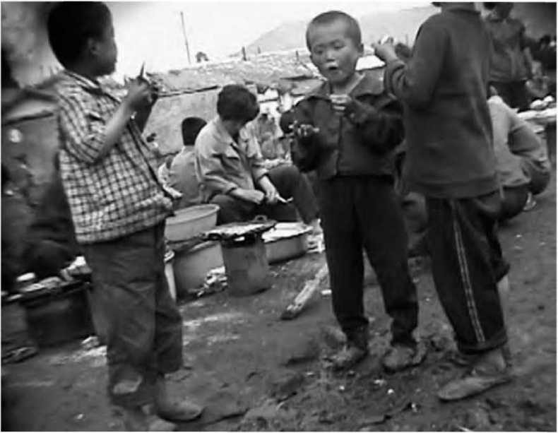 Иллюстрация к книге — Повседневная жизнь в Северной Корее [i_013.jpg]