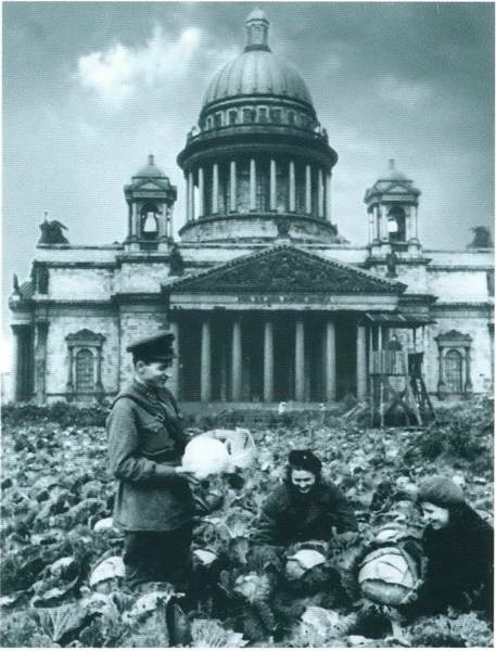 Иллюстрация к книге — Повседневная жизнь блокадного Ленинграда [i_055.jpg]