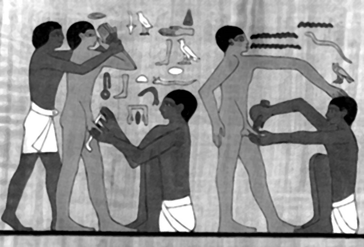 Иллюстрация к книге — История человечества, которую от вас скрывают. Фальсификация как метод [i_058.jpg]