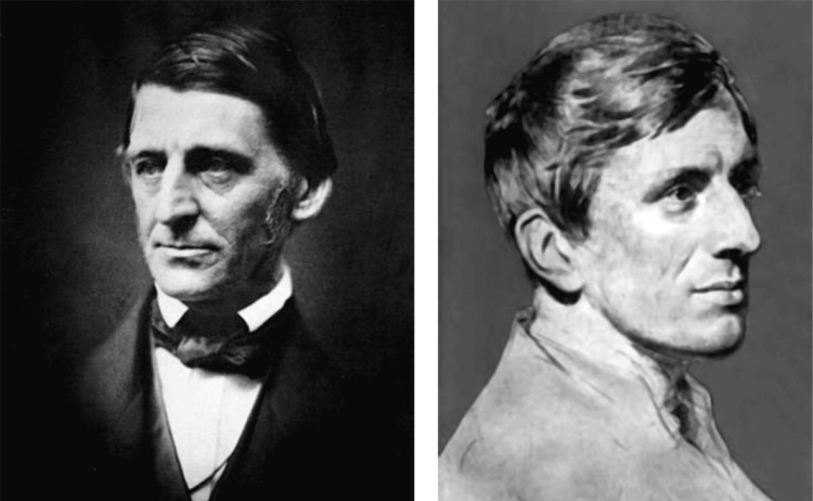 Иллюстрация к книге — История человечества, которую от вас скрывают. Фальсификация как метод [i_093.jpg]