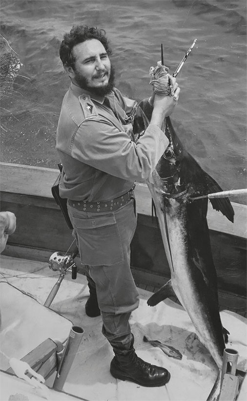 Иллюстрация к книге — Анатомия убийства. Гибель Джона Кеннеди. Тайны следствия [i_091.jpg]