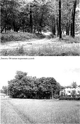 Иллюстрация к книге — Русское государство в немецком тылу. История Локотского самоуправления. 1941-1943 [i_005.jpg]