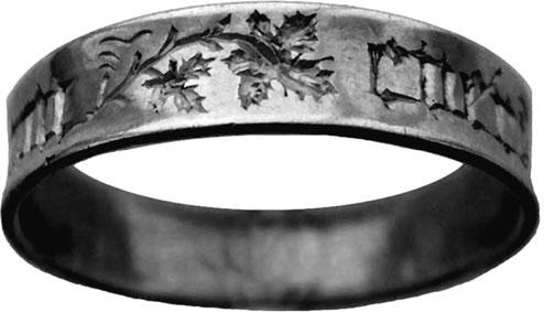 Иллюстрация к книге — Сокровища британской монархии. Скипетры, мечи и перстни в жизни английского двора [_8.jpg]