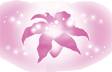 Иллюстрация к книге — Мора-Мрукс. Проклятие королевского рода [i_047.jpg]