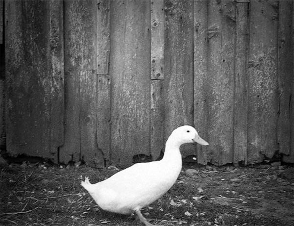 Иллюстрация к книге — Фейкбук. Реальная история, основанная на настоящей лжи [i_018.jpg]