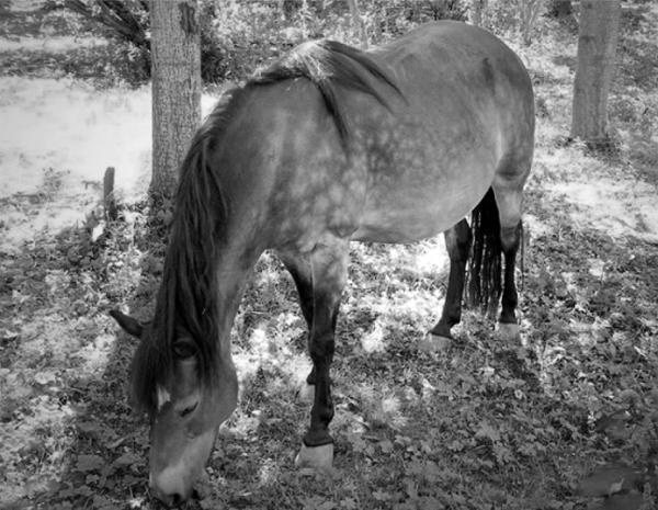 Иллюстрация к книге — Фейкбук. Реальная история, основанная на настоящей лжи [i_023.jpg]