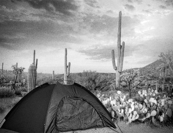 Иллюстрация к книге — Фейкбук. Реальная история, основанная на настоящей лжи [i_034.jpg]