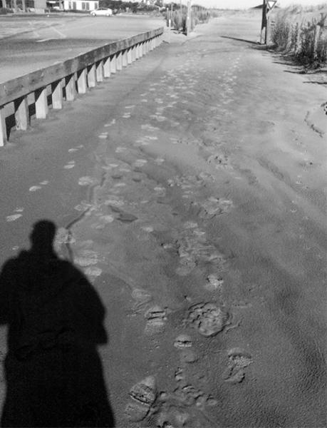 Иллюстрация к книге — Фейкбук. Реальная история, основанная на настоящей лжи [i_051.jpg]