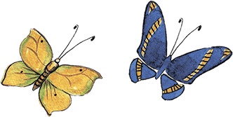 Иллюстрация к книге — Волшебные сказки, возвращающие здоровье. Дверь на Остров Мечты [i_013.jpg]