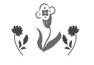 Иллюстрация к книге — В поисках неземной любви. Окрыляющие сказки о женщинах и звездах [i_021.jpg]