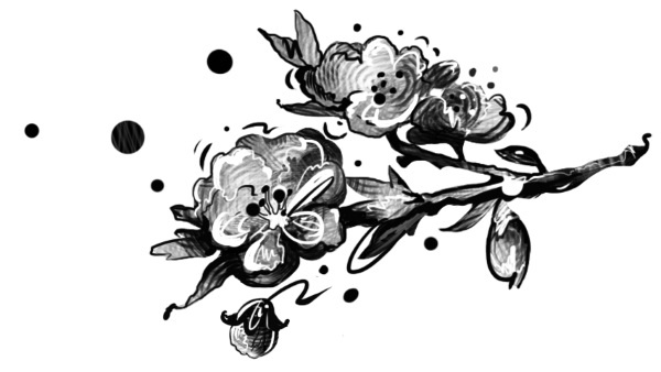 Иллюстрация к книге — В поисках неземной любви. Окрыляющие сказки о женщинах и звездах [i_028.jpg]