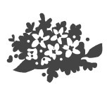 Иллюстрация к книге — В поисках неземной любви. Окрыляющие сказки о женщинах и звездах [i_041.jpg]