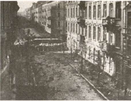 Иллюстрация к книге — "Штрафники" СС. Зондеркоманда "Дирлевангер" [i_048.jpg]