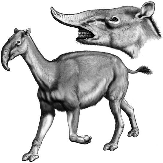 Иллюстрация к книге — Земля без людей [i_005.jpg]