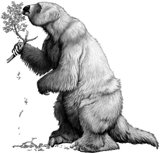 Иллюстрация к книге — Земля без людей [i_006.jpg]