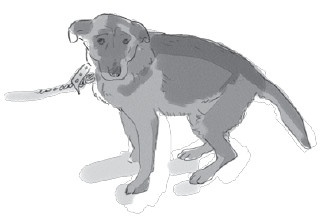 Иллюстрация к книге — Анатомия глупости [i_003.jpg]