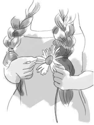 Иллюстрация к книге — Анатомия глупости [i_009.jpg]