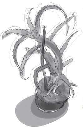 Иллюстрация к книге — Анатомия глупости [i_012.jpg]