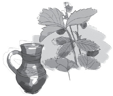 Иллюстрация к книге — Анатомия глупости [i_016.jpg]