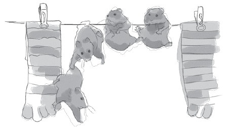 Иллюстрация к книге — Анатомия глупости [i_019.jpg]