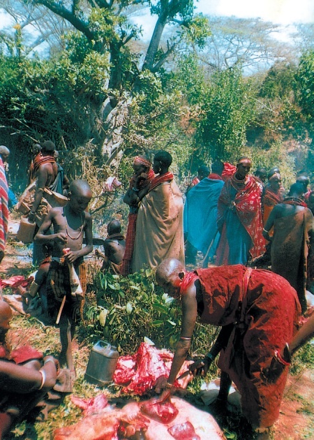 Иллюстрация к книге — Белая масаи [i_011.jpg]