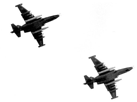 Иллюстрация к книге — Выжженное небо Афгана. Боевая авиация в Афганской войне [i_126.jpg]