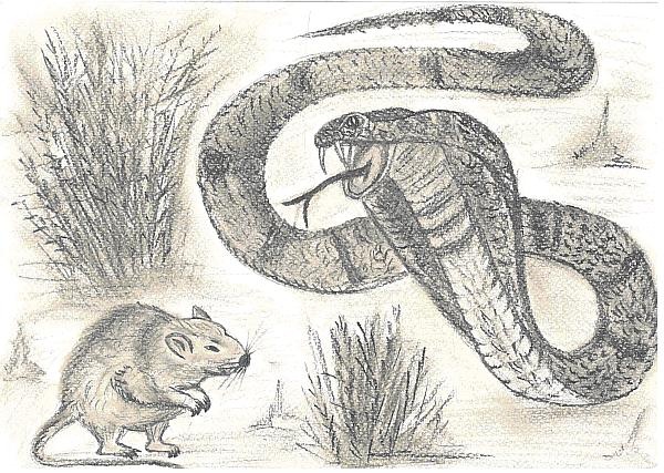 Иллюстрация к книге — Ловец фей [_05.jpg]