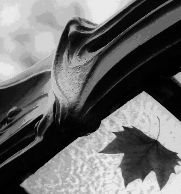 Иллюстрация к книге — В поисках Парижа, или Вечное возвращение [_159_1.jpg]