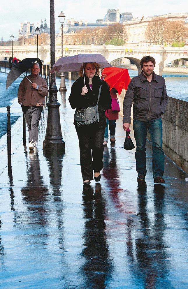 Иллюстрация к книге — Парижские подробности, или Неуловимый Париж [i_025.jpg]