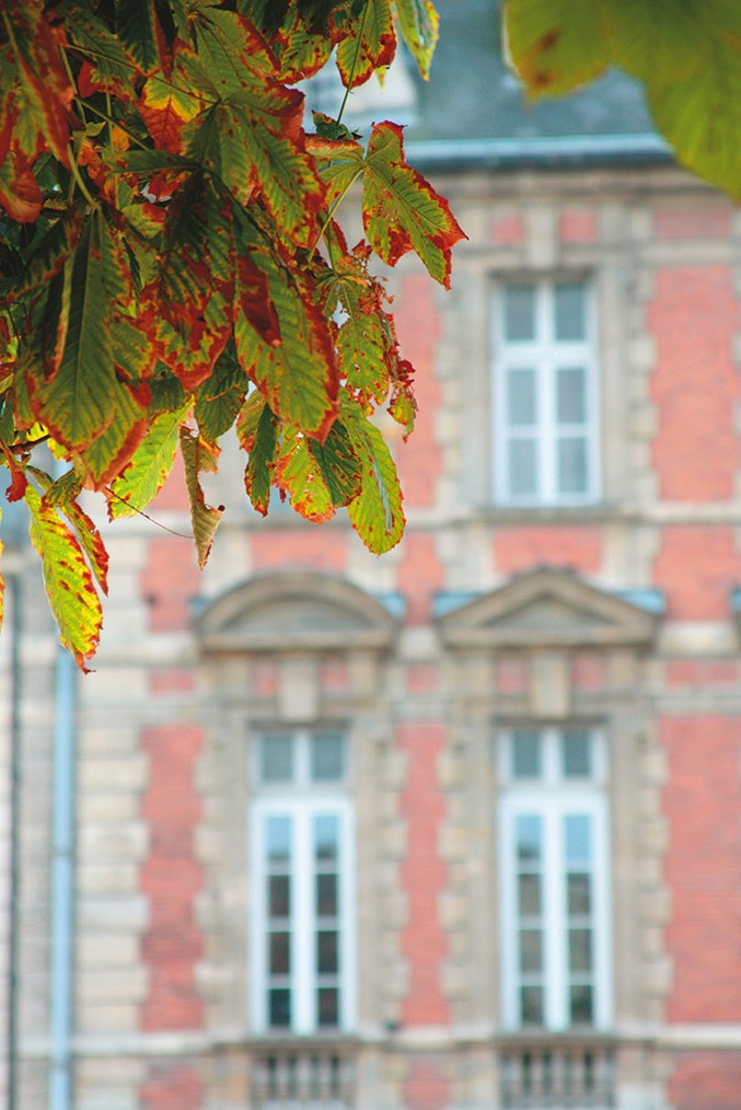 Иллюстрация к книге — Парижские подробности, или Неуловимый Париж [i_036.jpg]