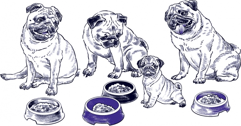 Иллюстрация к книге — Правдивые сказки про собак [i_002.jpg]