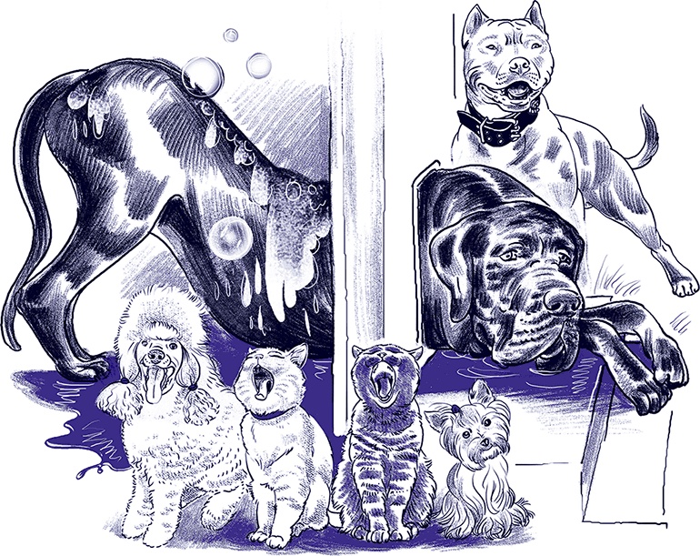 Иллюстрация к книге — Правдивые сказки про собак [i_007.jpg]