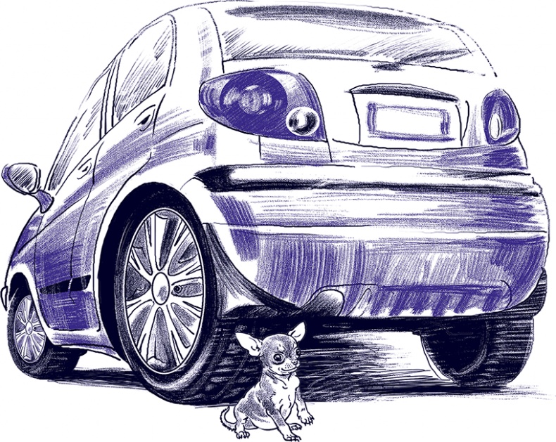 Иллюстрация к книге — Правдивые сказки про собак [i_013.jpg]