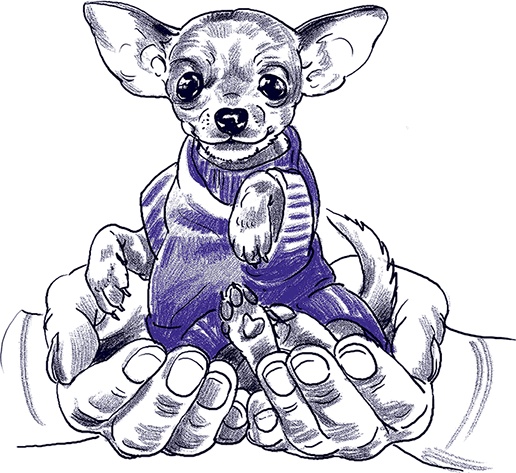 Иллюстрация к книге — Правдивые сказки про собак [i_014.jpg]