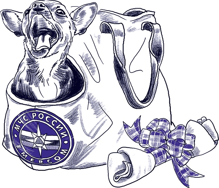 Иллюстрация к книге — Правдивые сказки про собак [i_018.jpg]