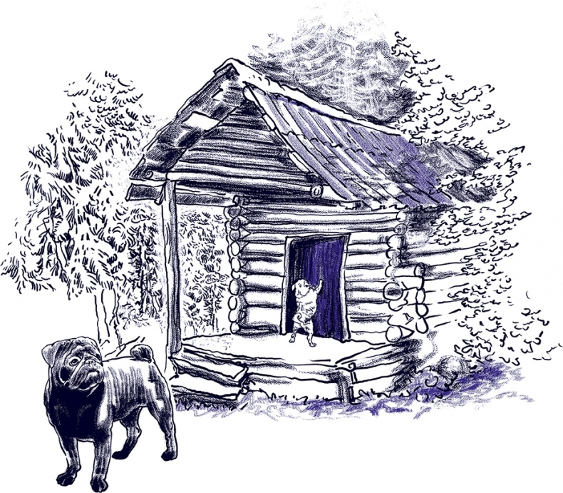 Иллюстрация к книге — Правдивые сказки про собак [i_020.jpg]