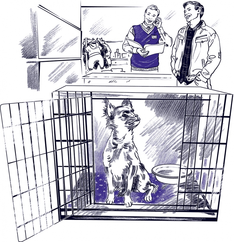 Иллюстрация к книге — Правдивые сказки про собак [i_022.jpg]