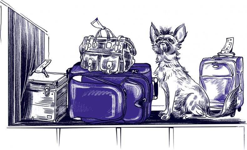 Иллюстрация к книге — Правдивые сказки про собак [i_023.jpg]